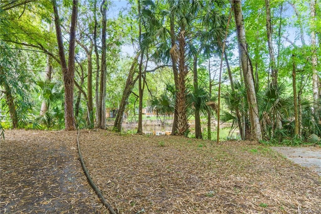 12323 E Gulf To Lake Hwy, Inverness, FL 34450